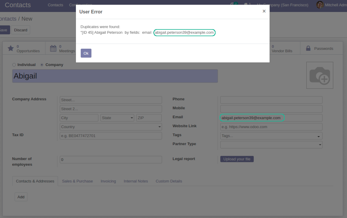 Odoo partners rigid duplicates