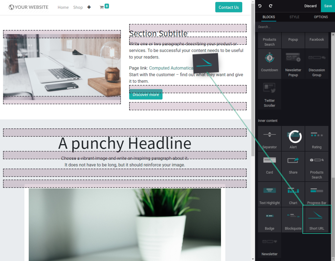 URL shortener: website snippet