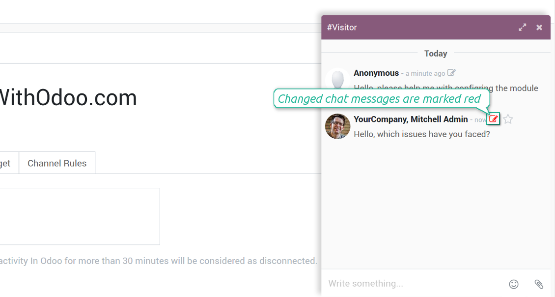 LiveChat nessages history of updates