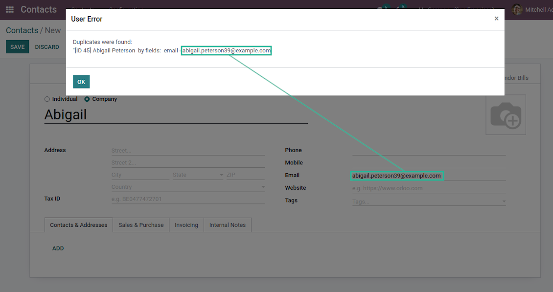 Odoo partners rigid duplicates
