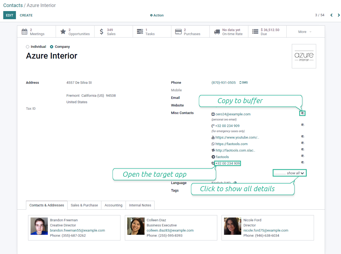 Odoo Contact details widget