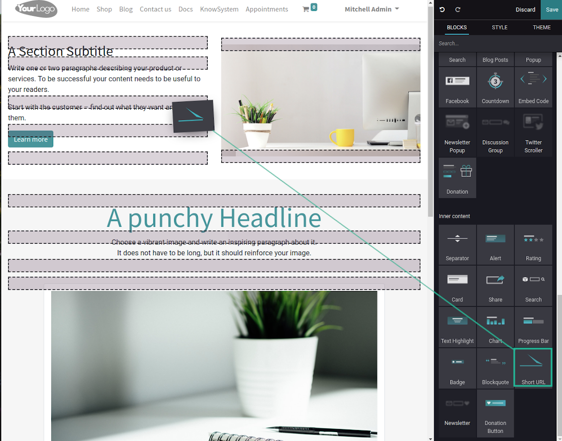 URL shortener: website snippet