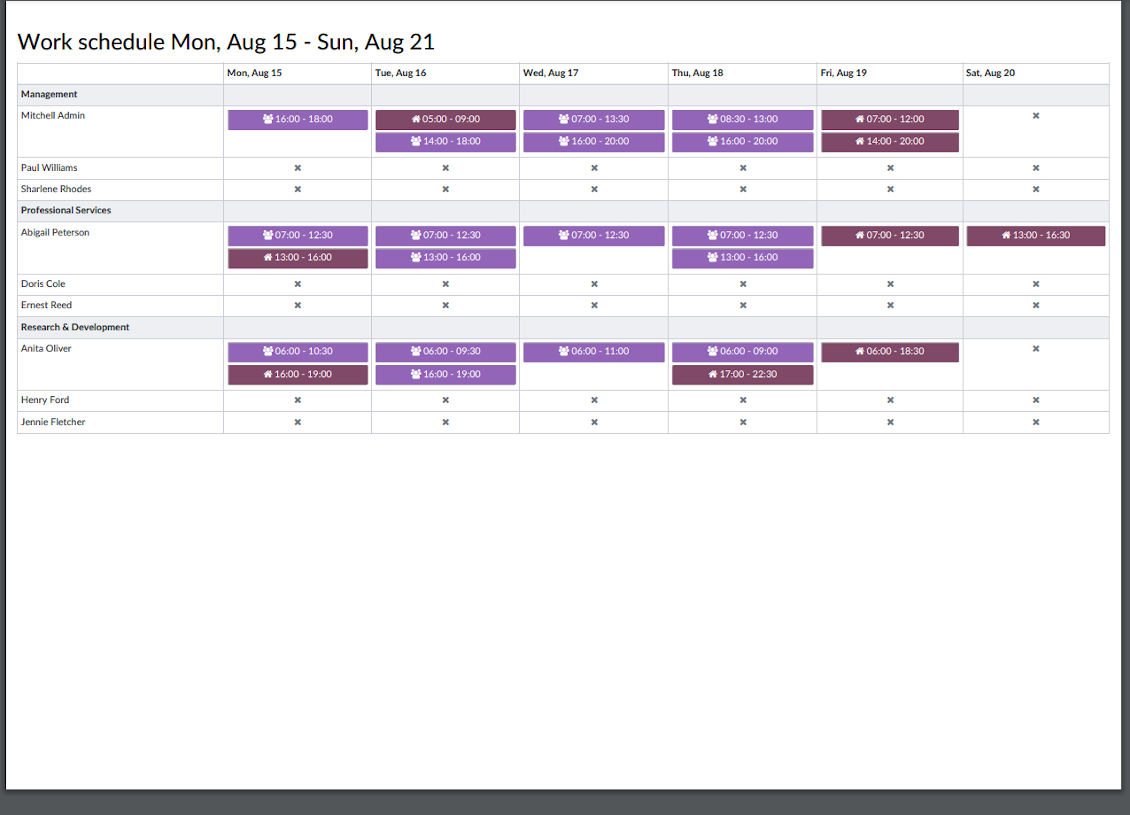 Odoo work schedule report