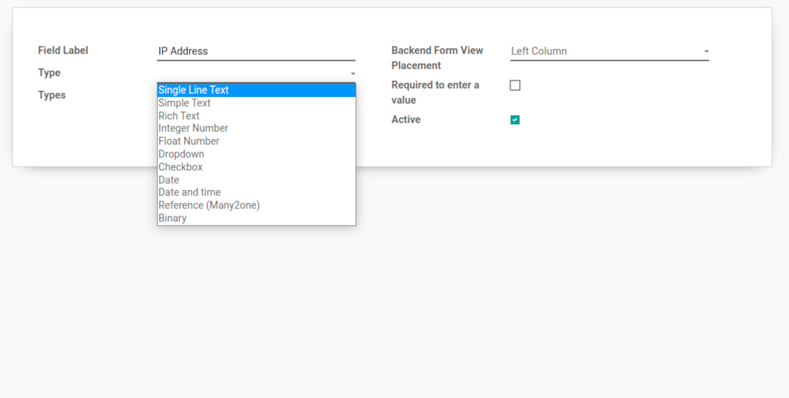Types of custom fields for access keys