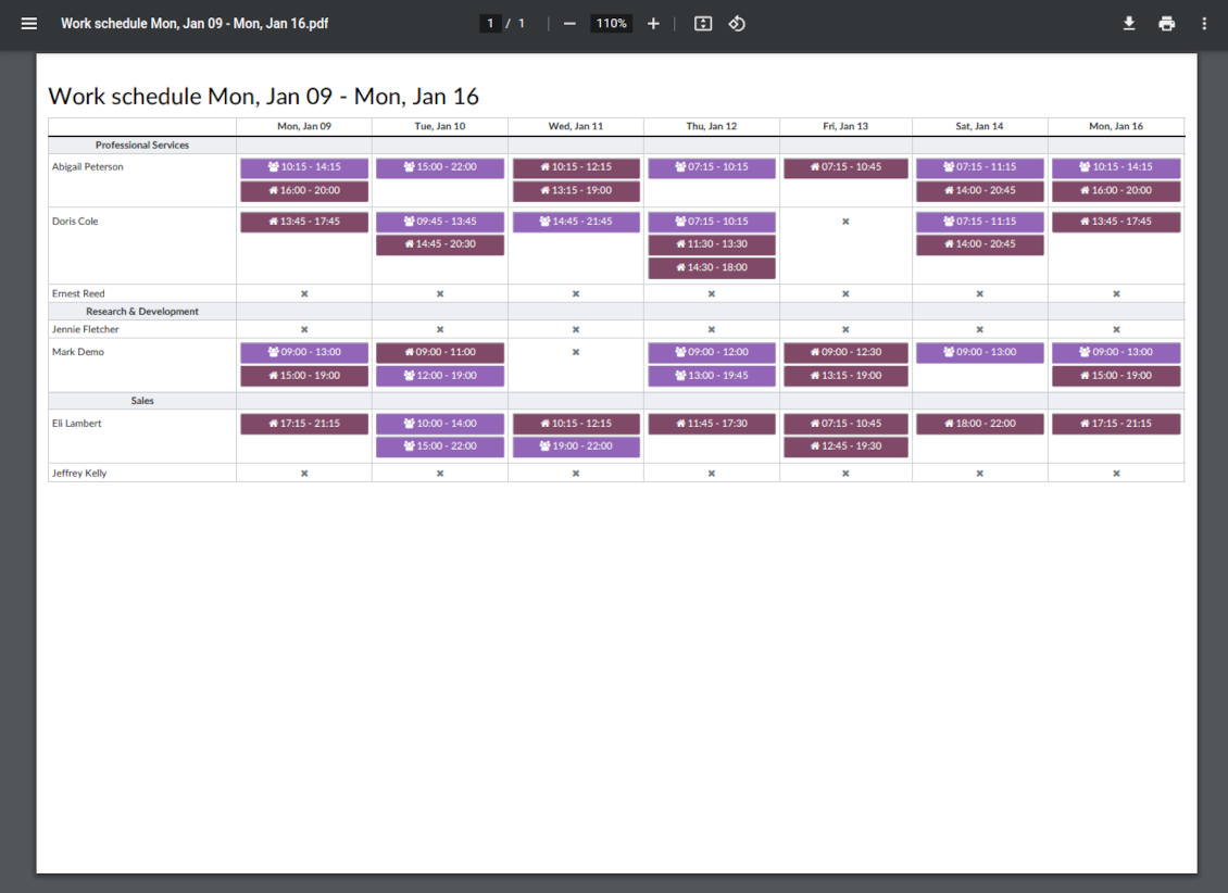 Odoo work schedule report