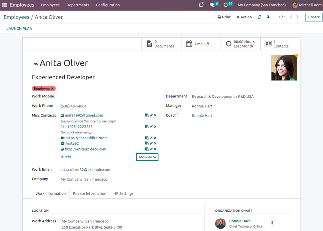 Odoo employees: full partner details widget