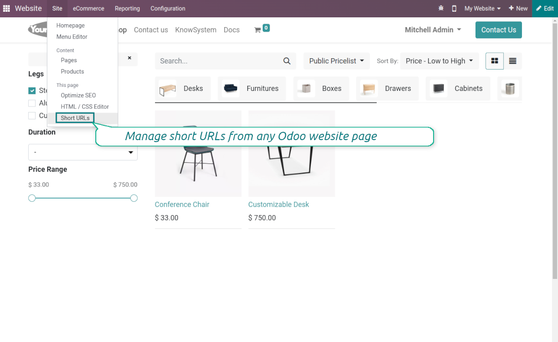 URL shortener: website customization
