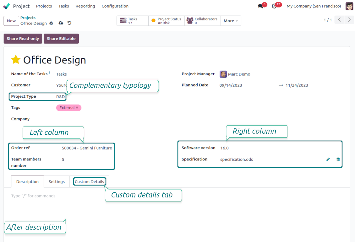 Customized form view of projects