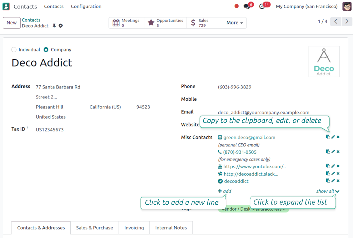 Odoo full partner details widget