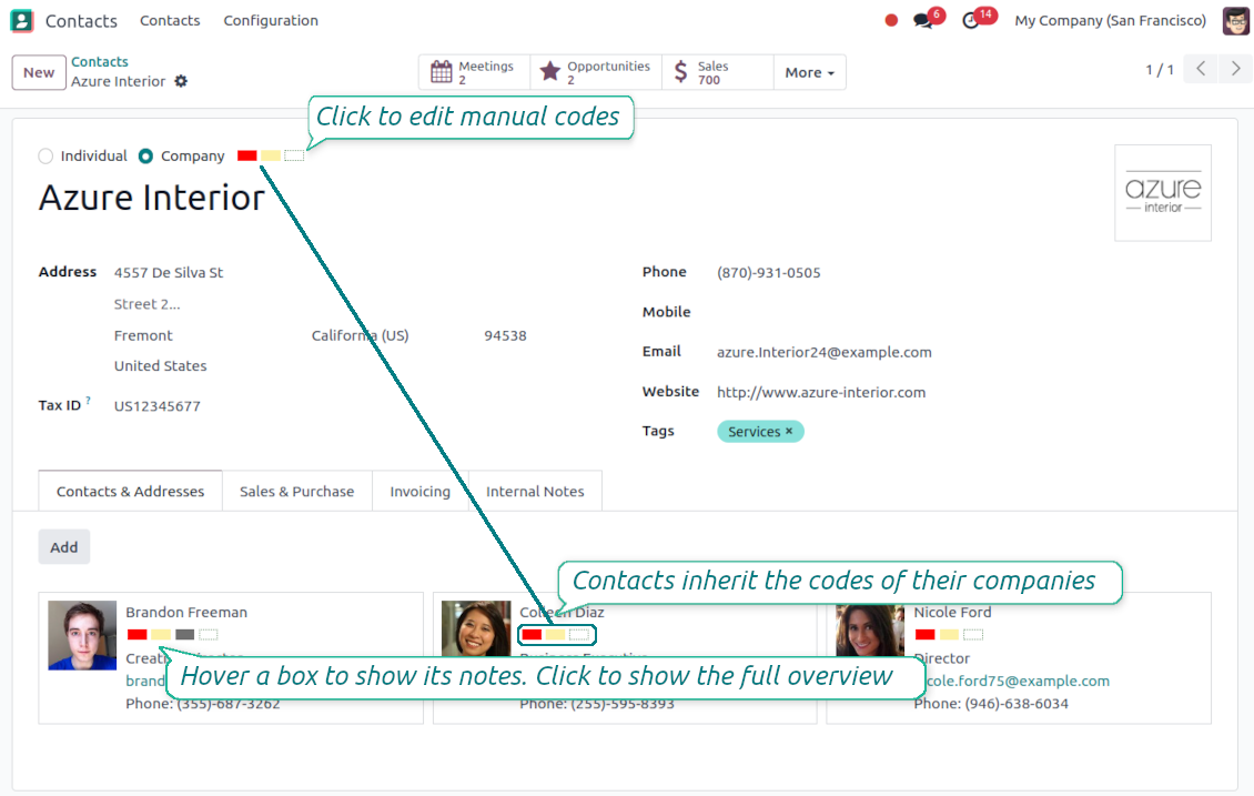 Odoo contact form: color boxes