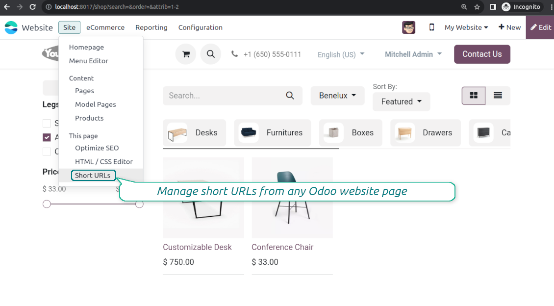 URL shortener: website customization