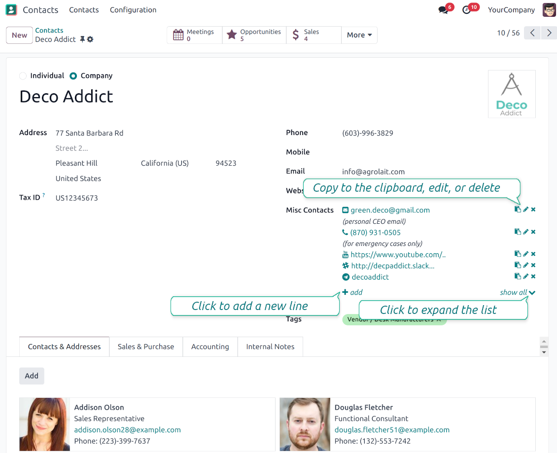 Odoo full partner details widget