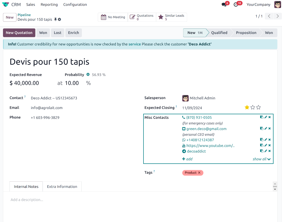 Odoo leads: full partner details widget