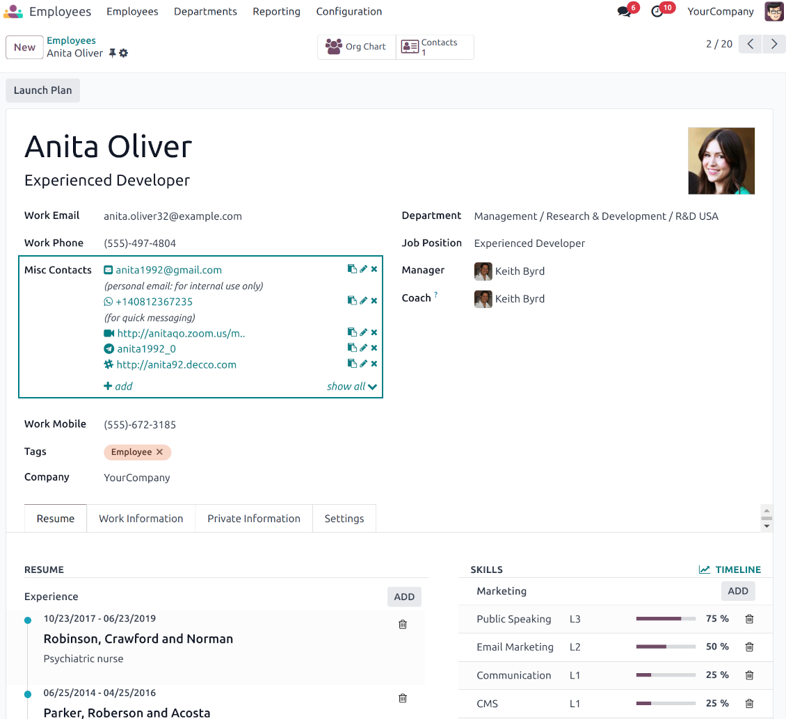 Odoo employees: full partner details widget