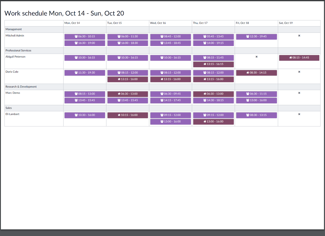 Odoo work schedule report