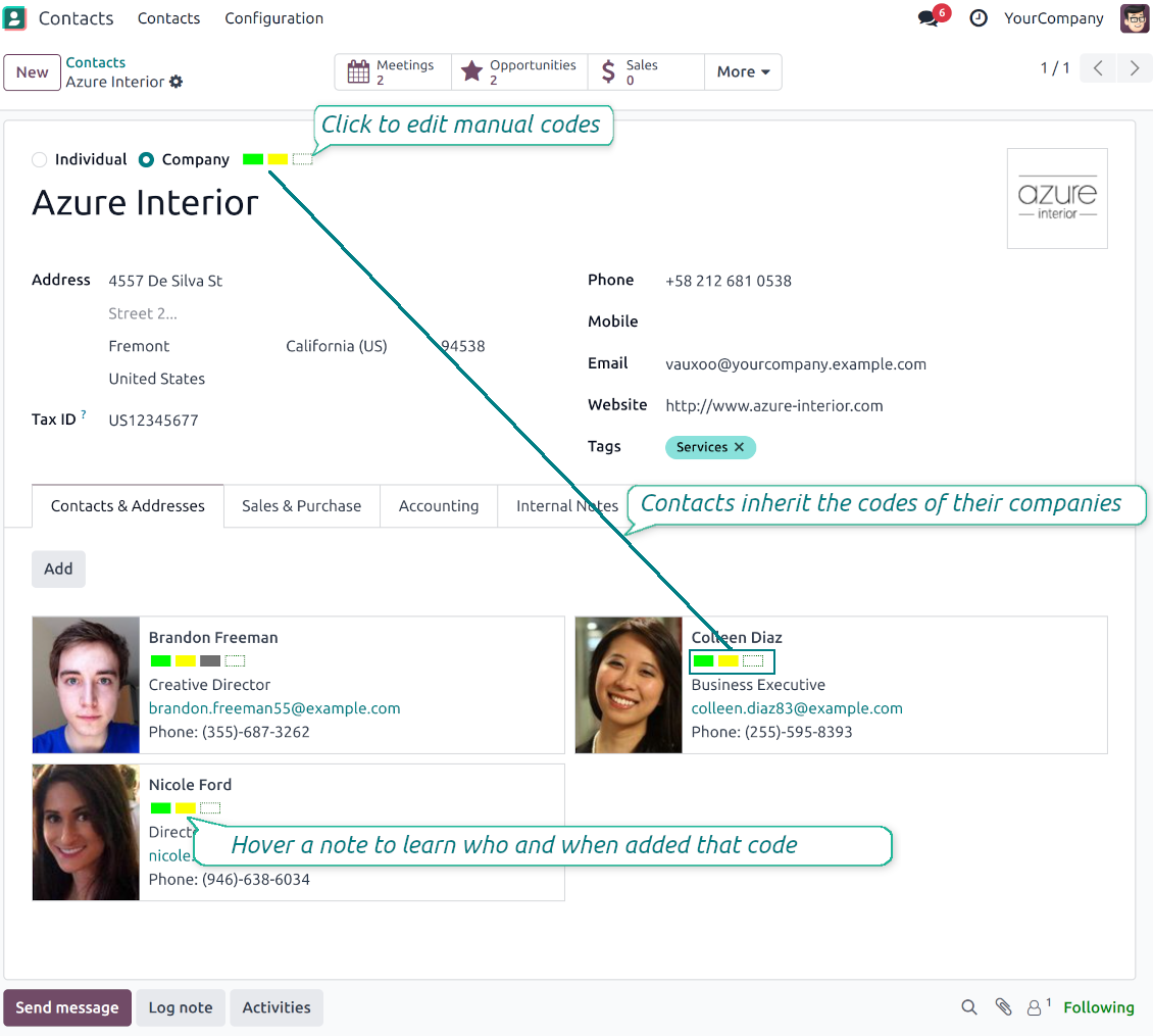 Odoo contact form: color boxes
