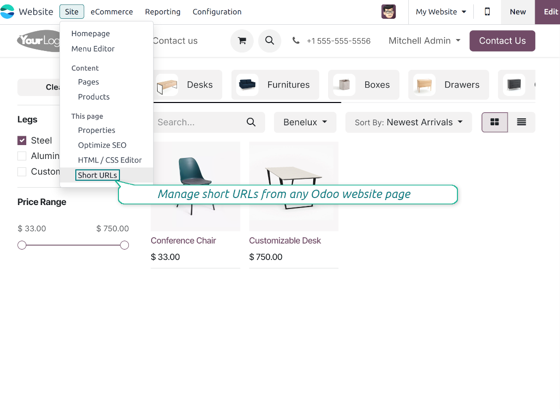URL shortener: website customization