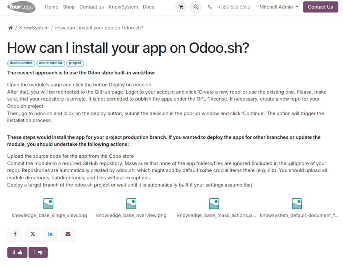 Article portal/website view