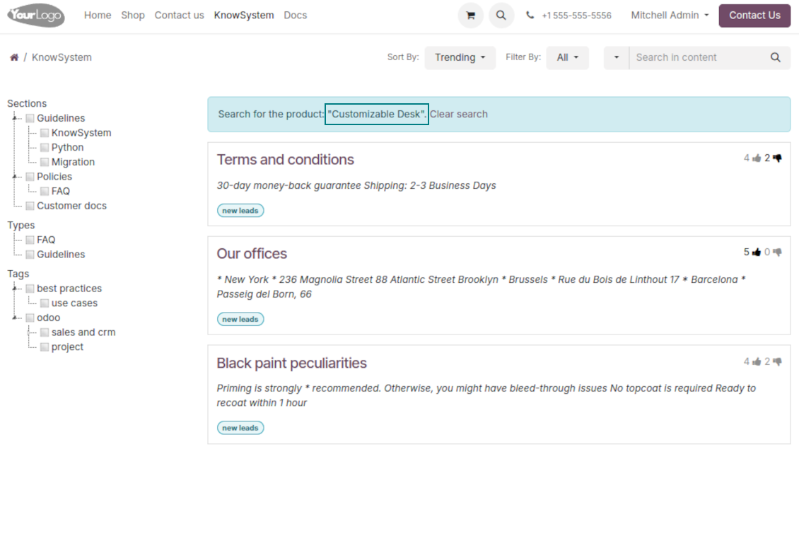 KnowSystem eCommerce: portal view