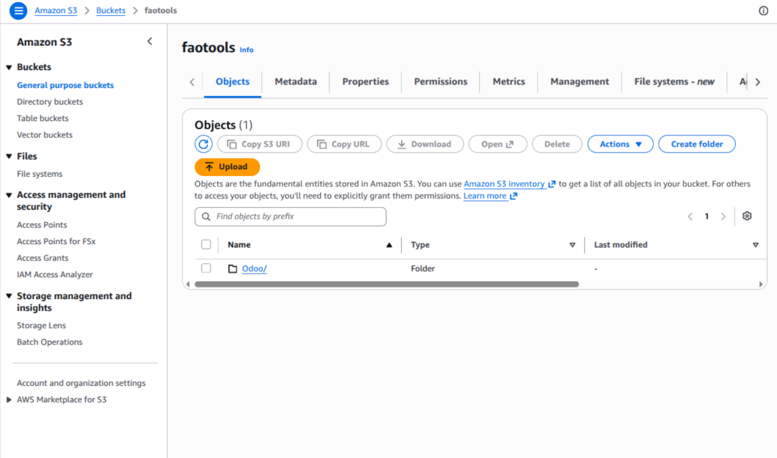 Odoo's root folder is in Amazon