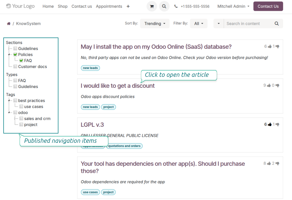 KnowSystem knowledge base published on the Odoo website portal for partners and visitors