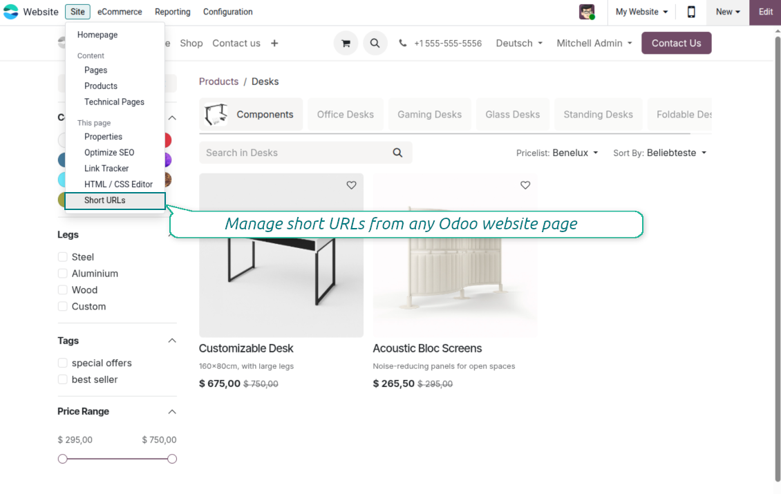 Website Short URLs dialog to create and update tokens