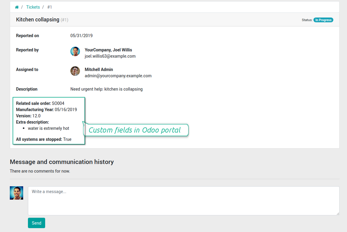 Tickets' custom fields in portal