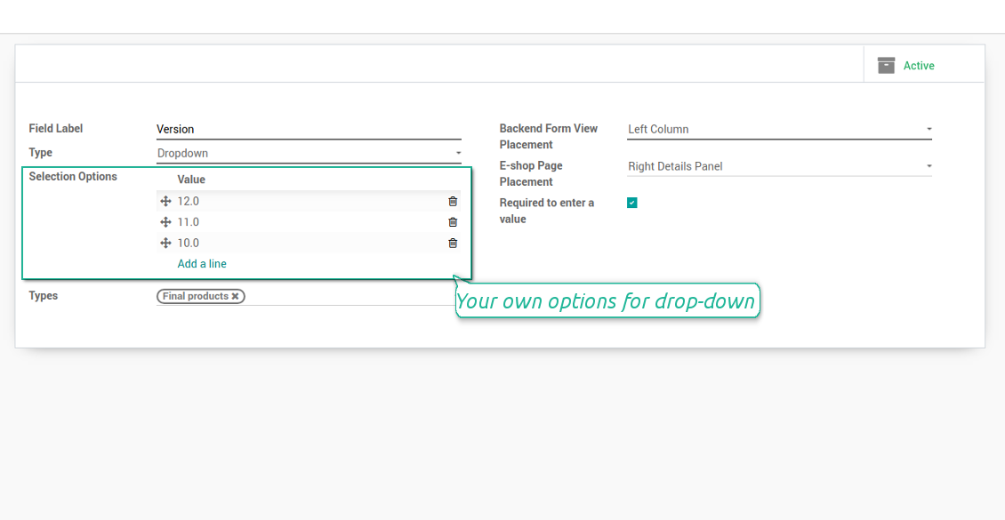 Selection fields for product templates